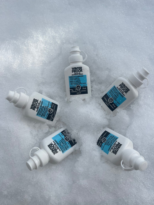 Lot de 5 dégivrants de serrures pour l'hiver